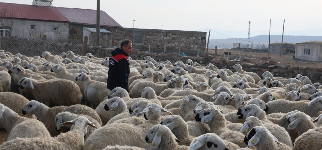 Köyümde Yaşamak İçin Bir Sürü Nedenim Var.