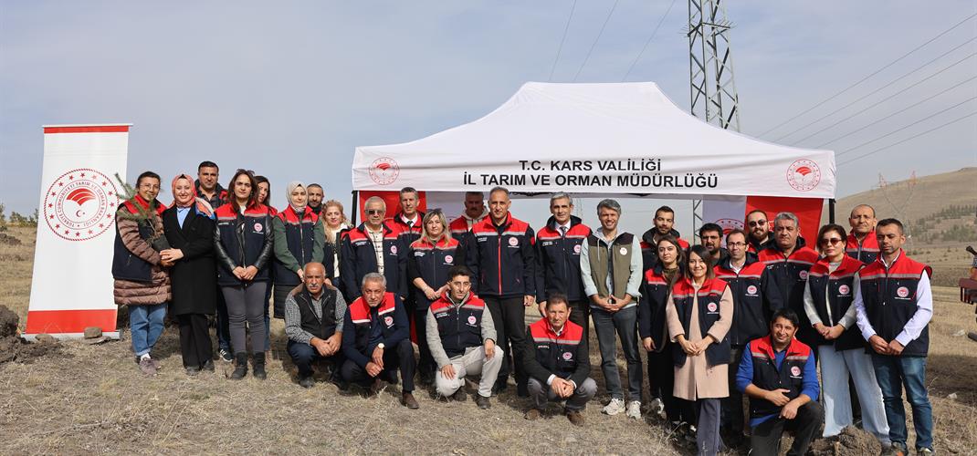 11 Kasım Milli Ağaçlandırma Günü